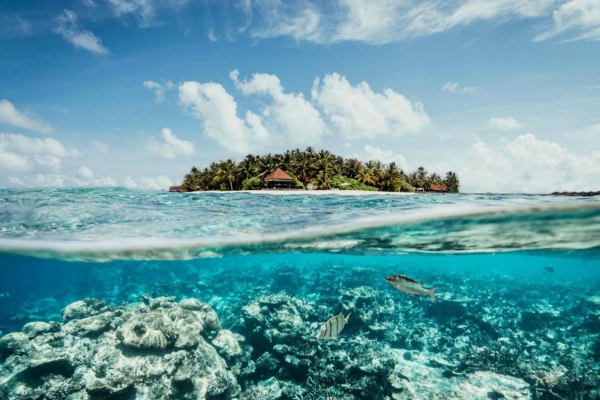 Island